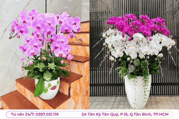 shop hoa quan tan binh